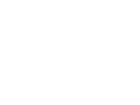 IVM Software eG